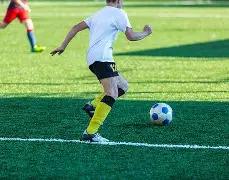 河北体院水,上运动,赛艇,乐鱼体育官网,乐鱼体育平台,乐鱼体育链接,乐鱼体育官方