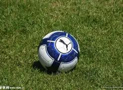 潜行者,切尔诺贝利,之心,乐鱼体育官网,乐鱼体育平台,乐鱼体育链接,乐鱼体育官方