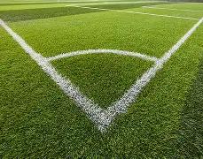 美元对波兰,兹罗提汇率,乐鱼体育,乐鱼体育官网,乐鱼体育平台,乐鱼体育链接,乐鱼体育官方