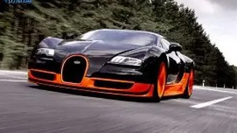 德里克·罗斯粉丝盛宴：风城玫瑰幻师茶话会