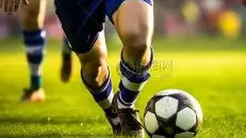 乐鱼体育 资讯 121621 wd3