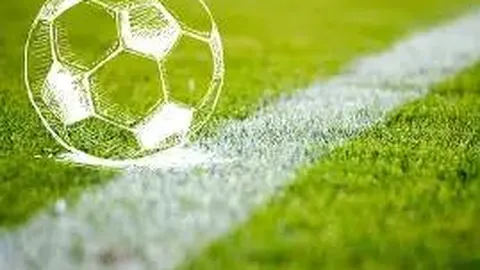 乐鱼体育 资讯 120247 wbk