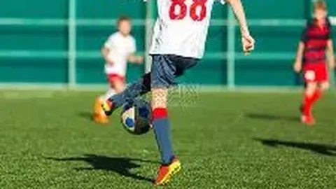 乐鱼体育 产品 101351 501