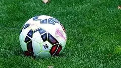 乐鱼体育 资讯 100228 pfl